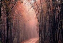 5连胜第一！女排又一21岁主攻崛起：5战轰111分变李盈莹新绝配？.