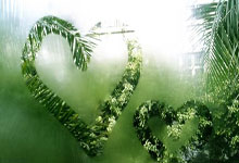 复仇战！郑钦文曾在19年迈阿密输汤森德，当时16.