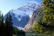 东契奇为一众球迷耐心签名！汤爹：还有哪位超级巨星能做到？.