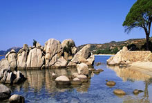 必赢亚洲官网：曼市又丢分 瓜帅仍为球队感骄傲.